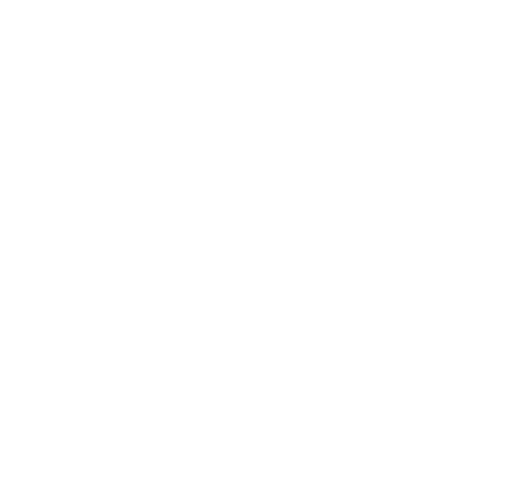 Van Bortle Masonry